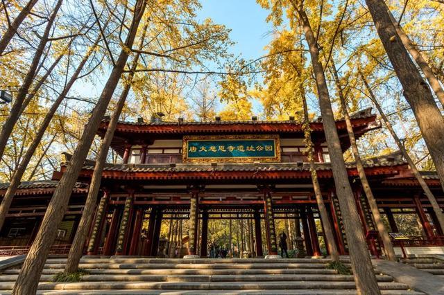 秋天|10个一入秋就“美哭”世界的城市！