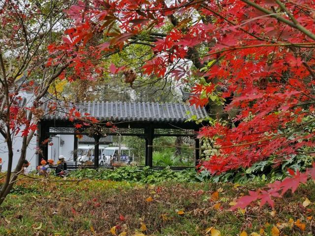 秋天|10个一入秋就“美哭”世界的城市！