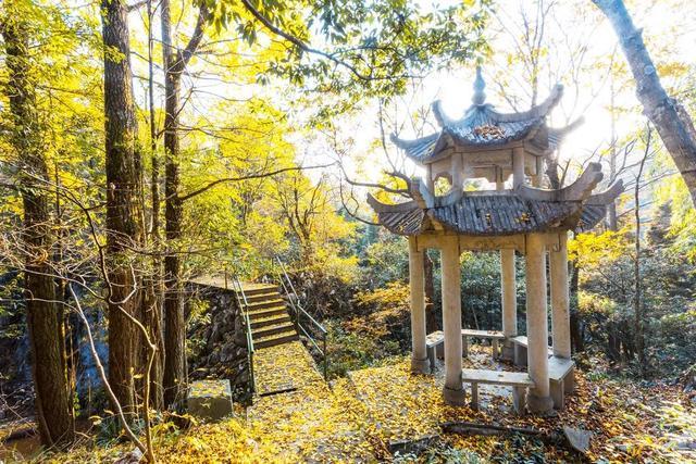秋天|10个一入秋就“美哭”世界的城市！