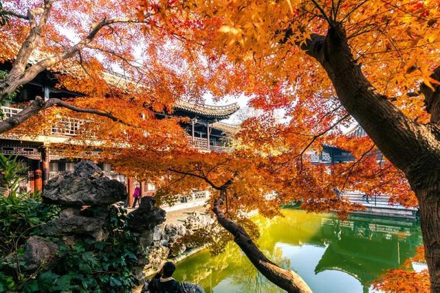 秋天|10个一入秋就“美哭”世界的城市！