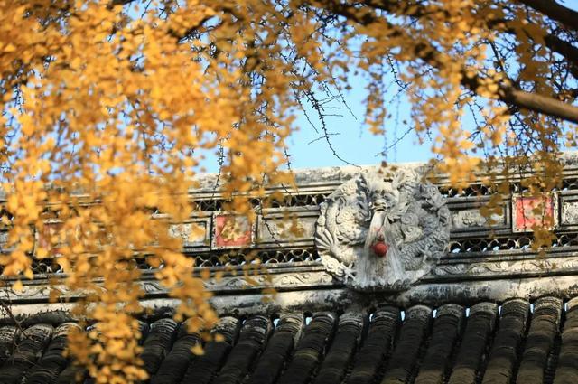 秋天|10个一入秋就“美哭”世界的城市！