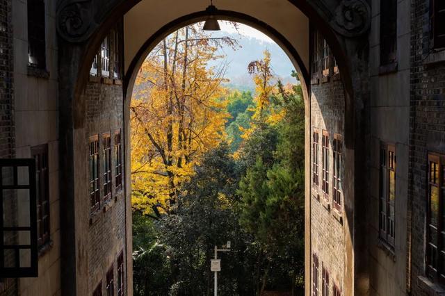 秋天|10个一入秋就“美哭”世界的城市！