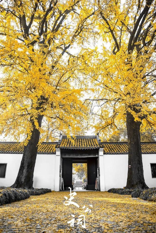 秋天|10个一入秋就“美哭”世界的城市！
