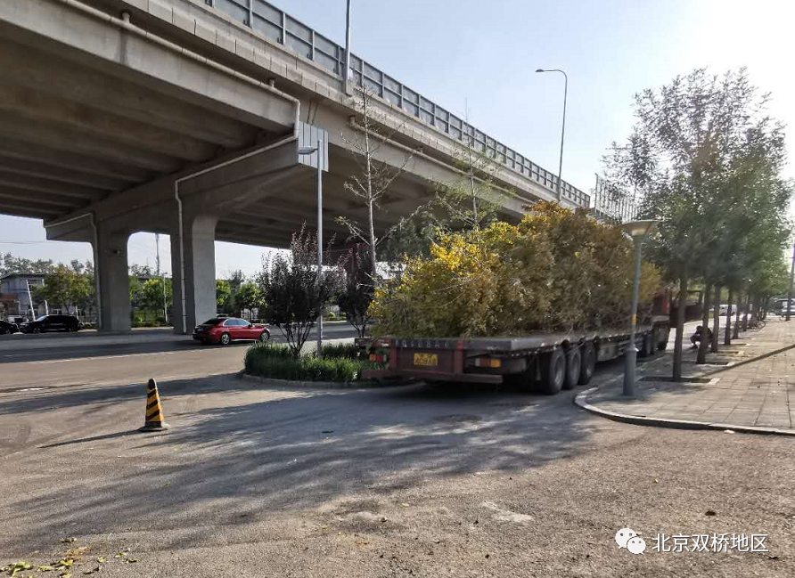 广渠路|占地4.5万平方米 北京广渠路咸宁侯廊道景观进入收尾阶段