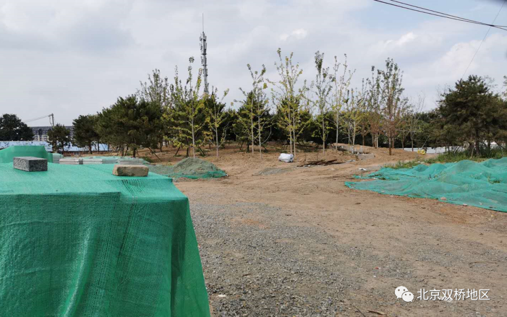 广渠路|占地4.5万平方米 北京广渠路咸宁侯廊道景观进入收尾阶段