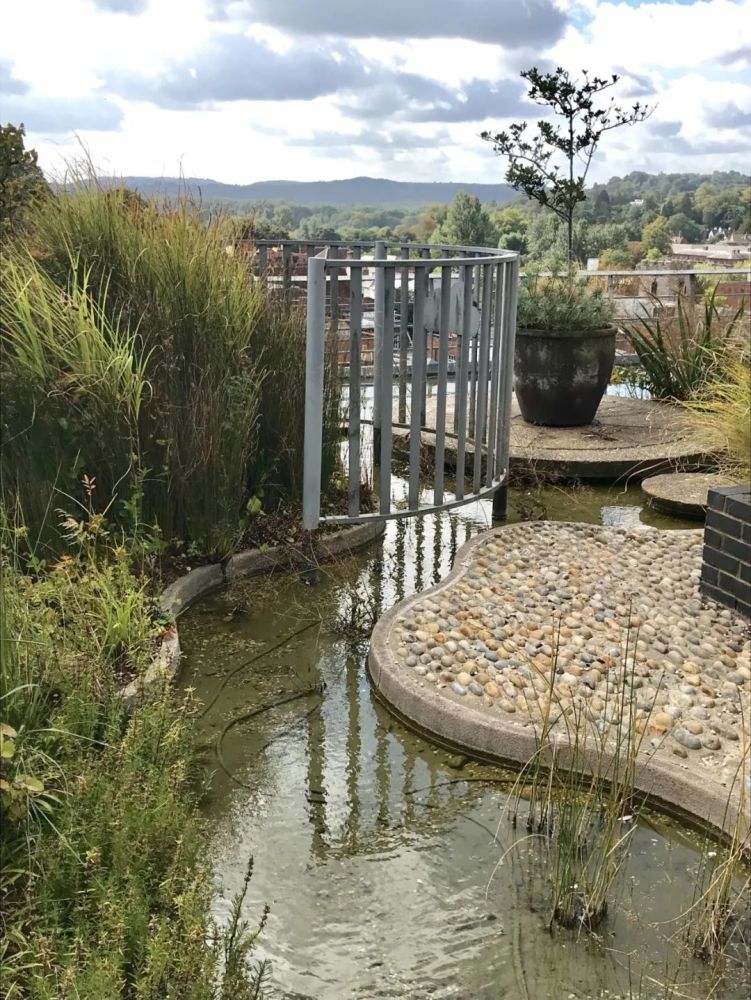 景观设计是 "所有艺术之母":英国景观大师杰弗里·杰里科的设计思想