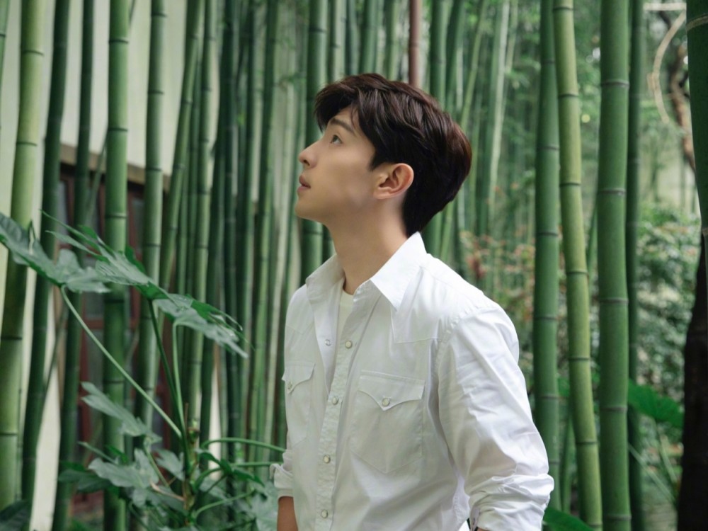 邓伦|电视好演员奖提名公布：邓伦李现同组竞争，4位顶流花仅杨紫入选