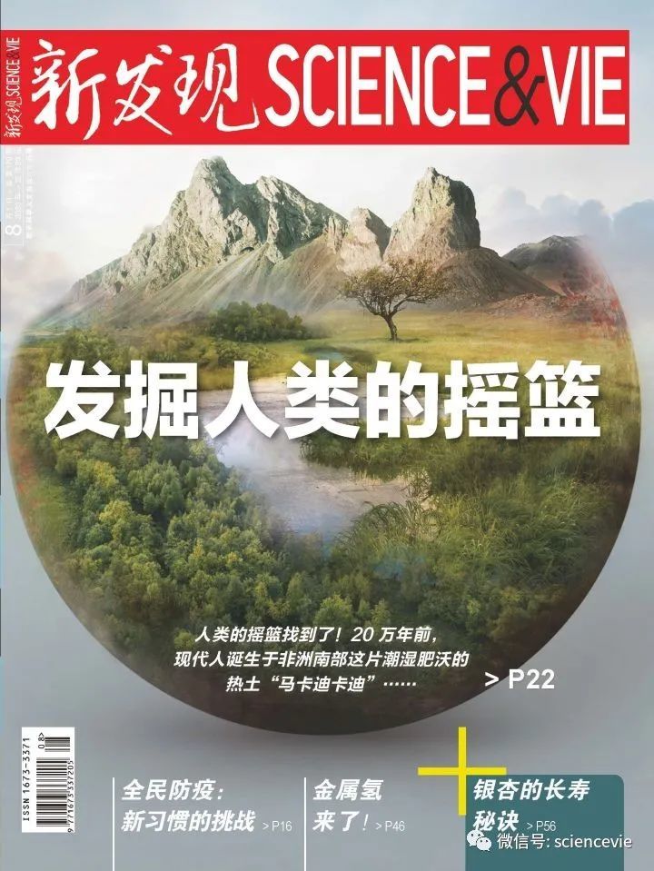 狒狒|闯入城市的野生动物，一个比一个自来熟