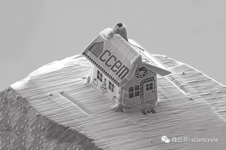 新发现|《新发现》八月刊：发掘人类的摇篮