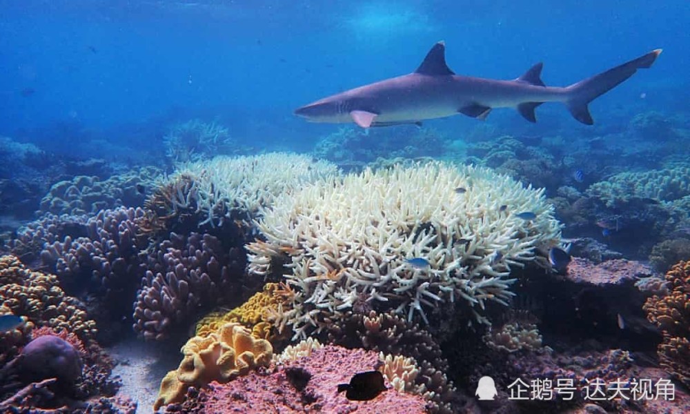 联合国|联合国报告：人类处于十字路口，世界未能实现停止破坏自然的目标