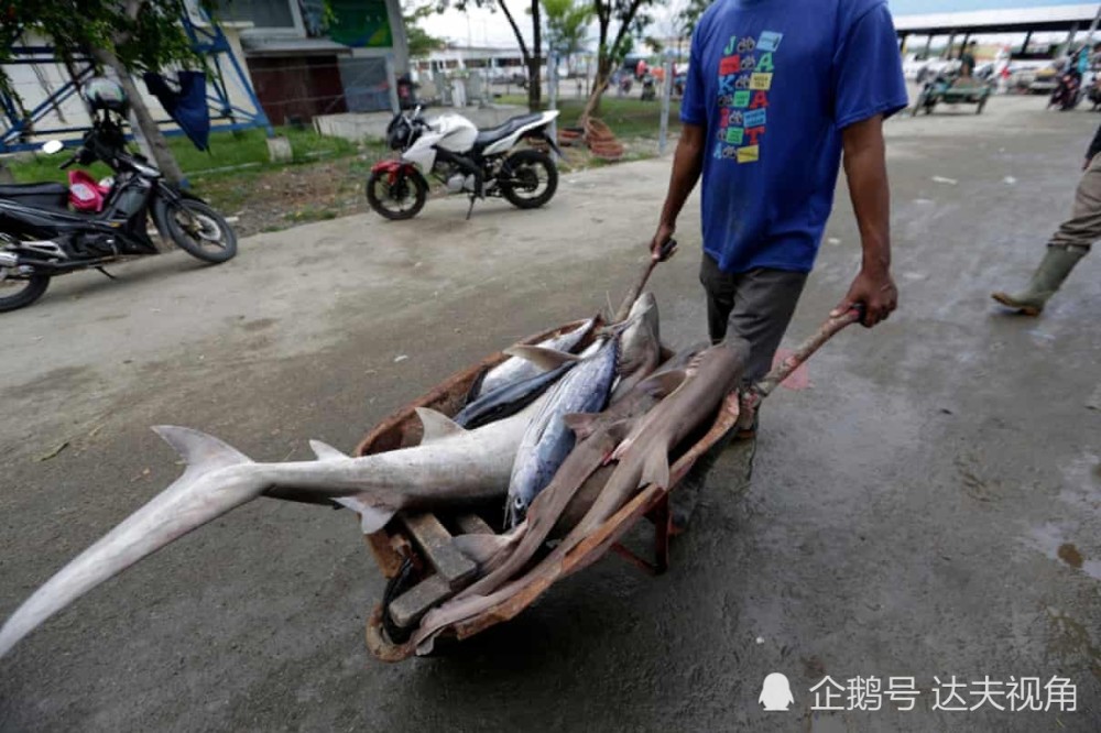 联合国|联合国报告：人类处于十字路口，世界未能实现停止破坏自然的目标