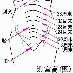 不同月份的胎儿胎动位置也不同 4 10个月胎动位置 孕妈了解下 腾讯网