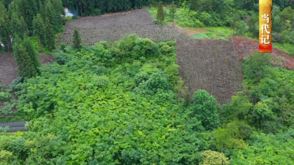 石柱|石柱：石接长江因石而名巾帼佳话流传，啰儿欢唱鲜辣美食入口迎接绿色新生