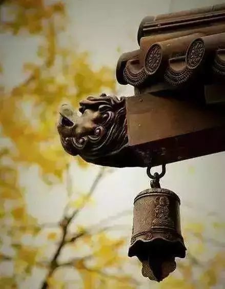 藻井|中国古建筑的繁复之美