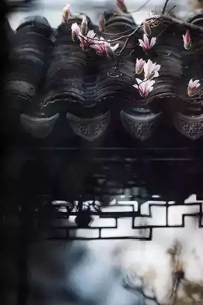 藻井|中国古建筑的繁复之美