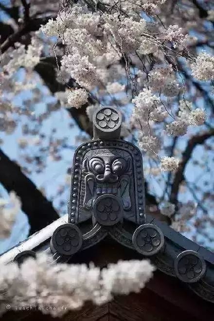 藻井|中国古建筑的繁复之美