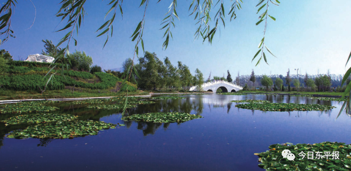 唐·高适|寻觅古诗词中的美好东平