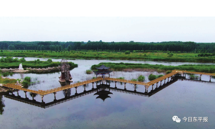 唐·高适|寻觅古诗词中的美好东平