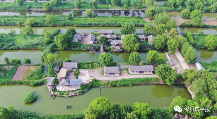 唐·高适|寻觅古诗词中的美好东平