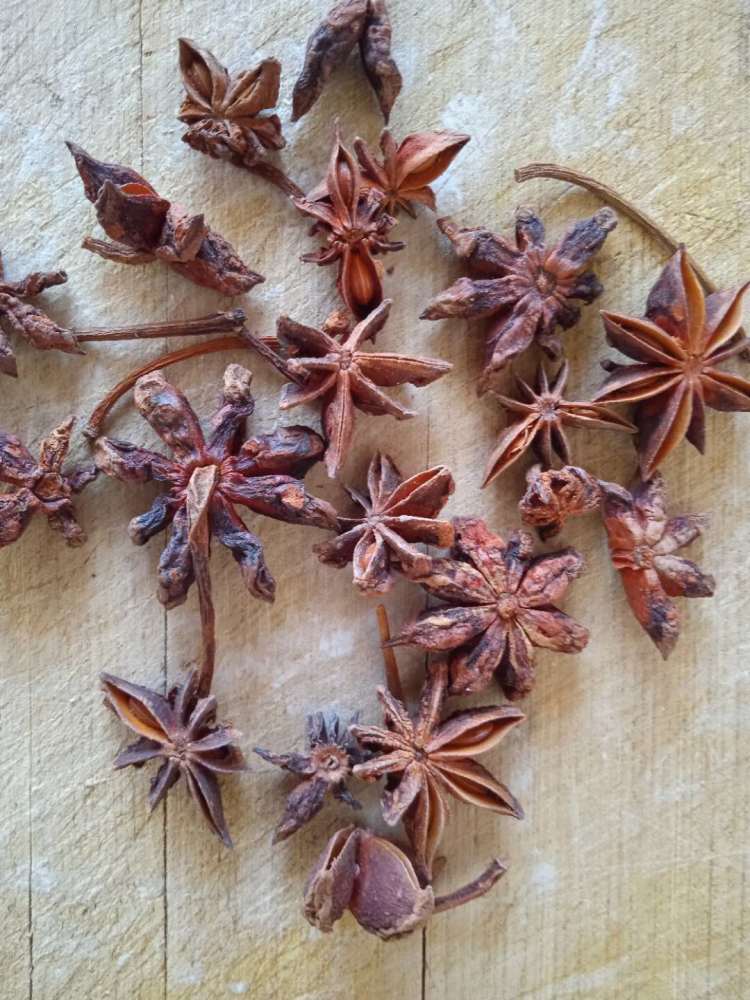 如何辨别有毒的假八角香料?内行提供一个最简易而有效的方法