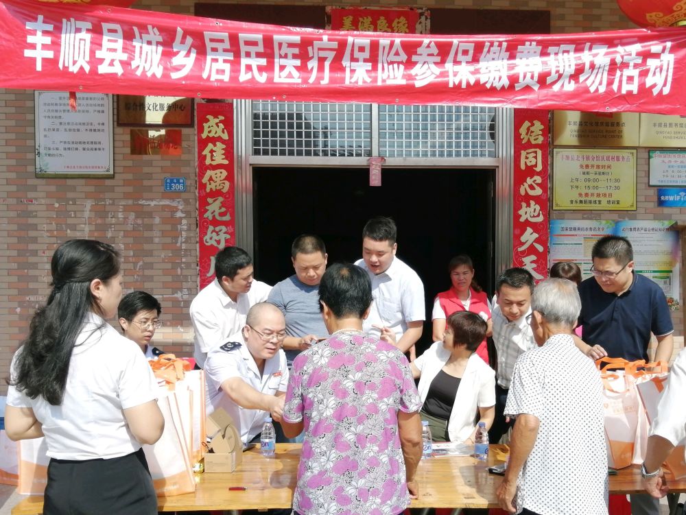 梅州丰顺税务开展医保宣传进乡村活动