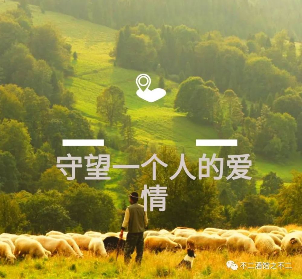 你点进这篇文章的样子像极了爱情