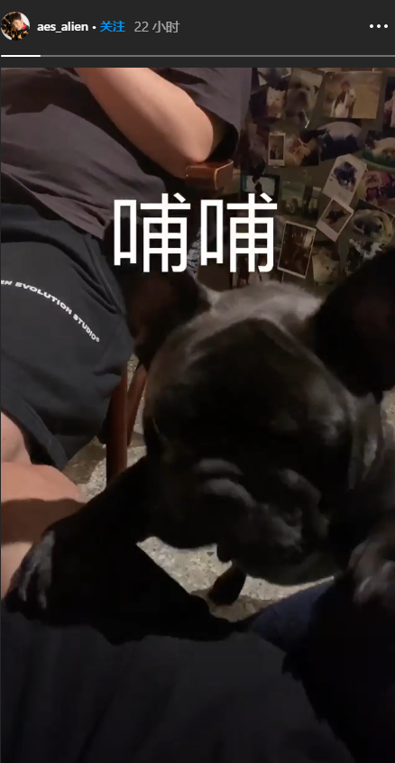 黄鸿升|黄鸿升父亲悲痛发声：儿子前一天还和家人一起吃饭