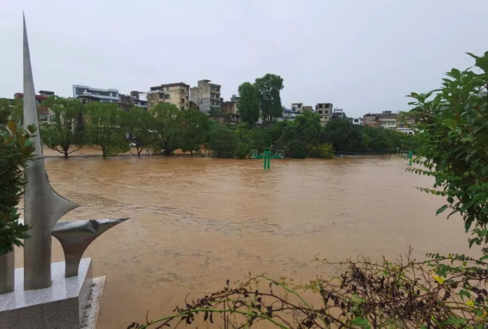 惠水县三都小学操场积水严重(刘飞,王磊 摄)