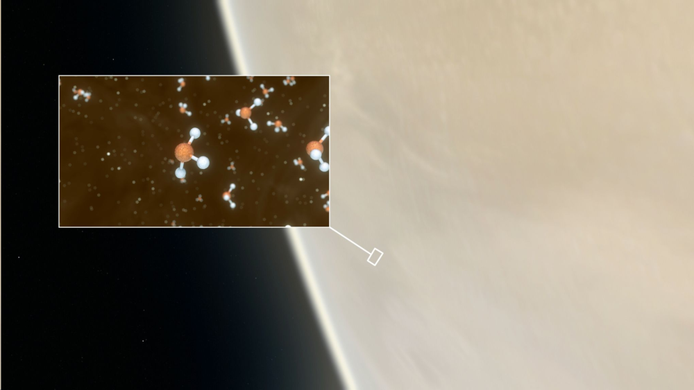 金星_天文行星|金星上已经发现微生物？