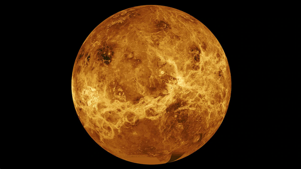 金星_天文行星|金星上已经发现微生物？