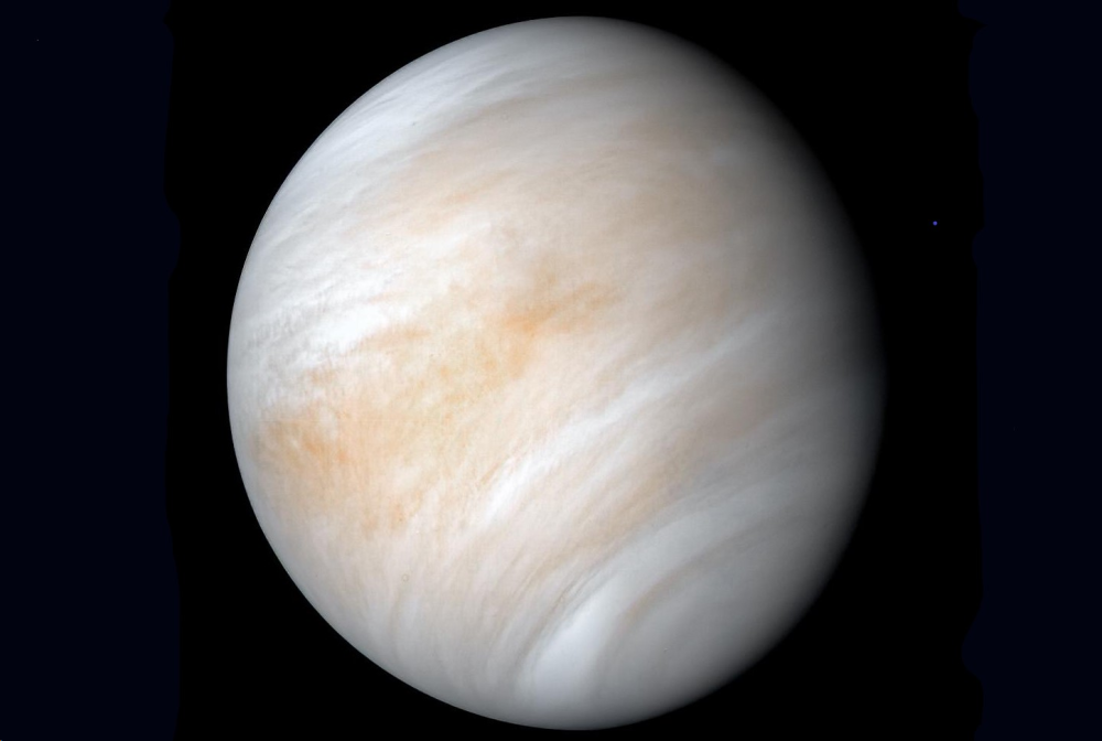 金星_天文行星|金星上已经发现微生物？
