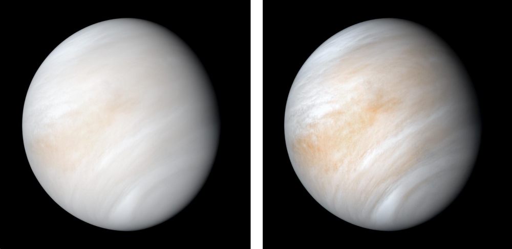 金星_天文行星|金星上已经发现微生物？