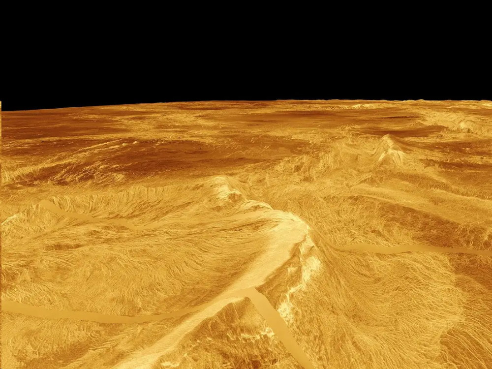 金星_天文行星|金星上已经发现微生物？