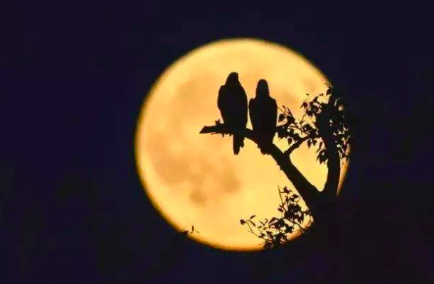 中秋|唐诗中很经典的一首中秋诗，短短4句，传唱至今