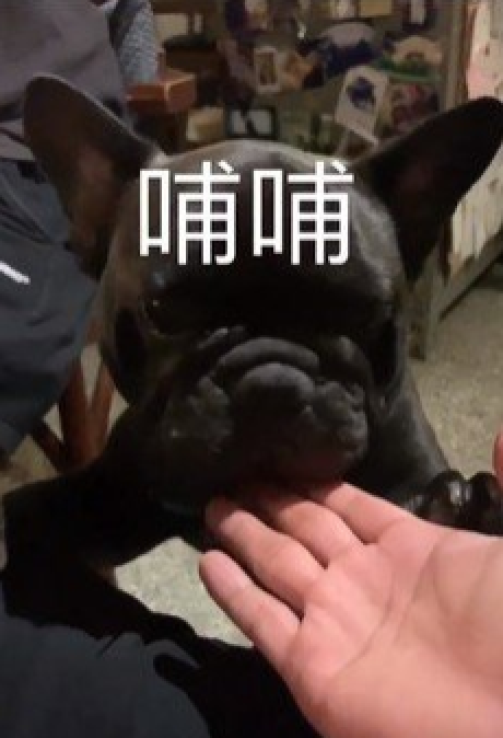 杨丞琳|罗志祥徒弟小鬼去世，初恋杨丞琳痛苦回应，白发人送黑发人惹心酸