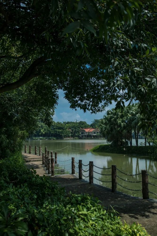 蓝天白云作旅伴,去沙井新桥看天光水色