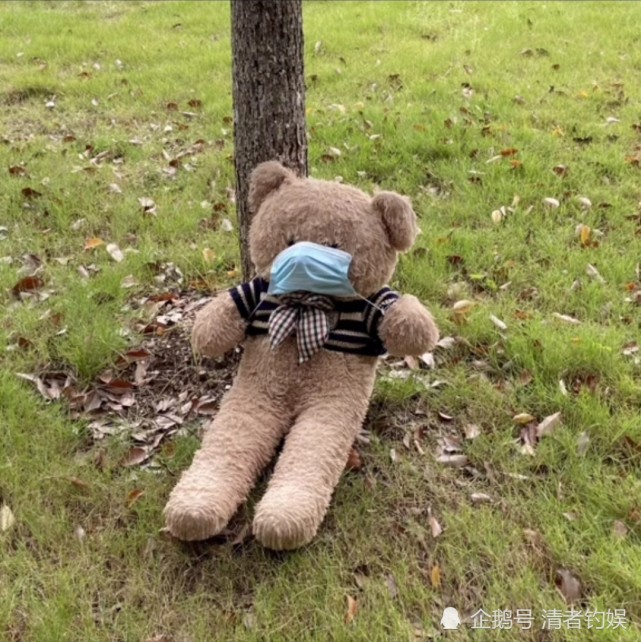 被全校照顾的小熊走红网络逐渐富有的模样太搞笑了结局大反转