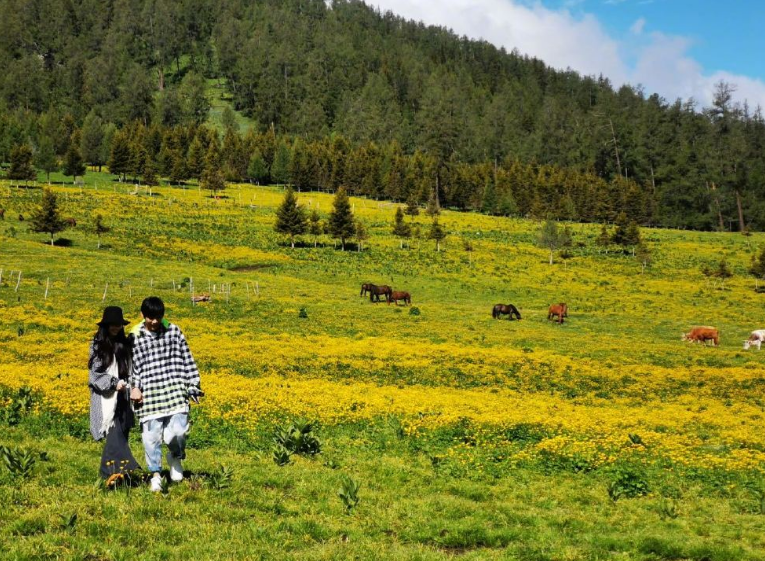 郭爸|向佐晒岳父下厨照，郭爸自制甜甜圈给他加餐，翁婿俩亲如父子