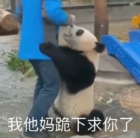 顾胜男|都2020年了，编剧大大们还能更离谱一点吗？
