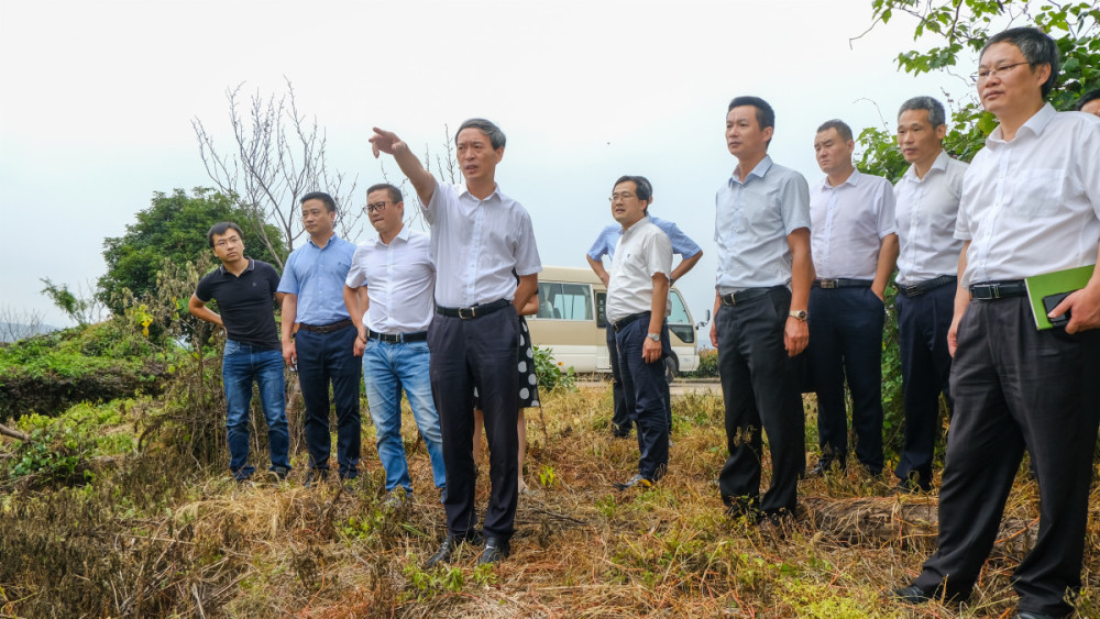 褚银良检查生态环境工作_腾讯新闻