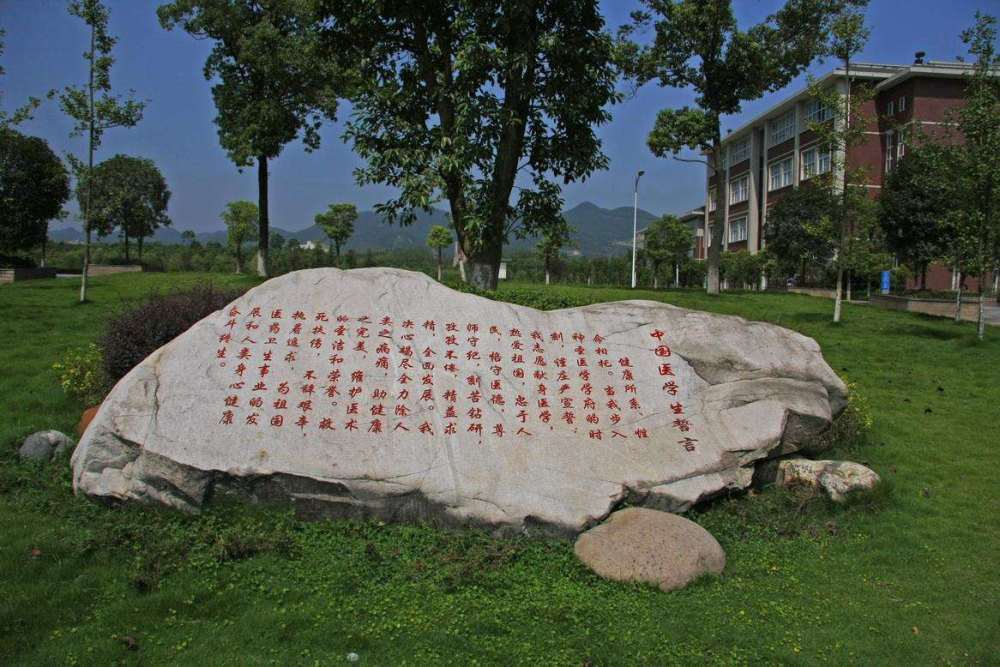 重庆这所大学，是中西部高校基础能力建设工程