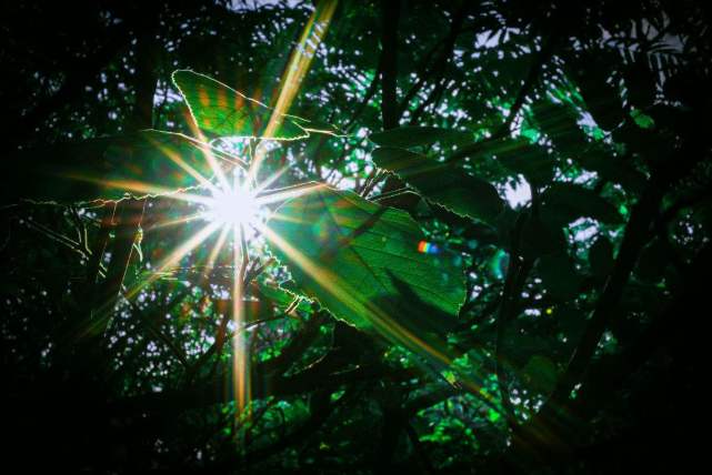 摄影技巧星芒照片怎么拍