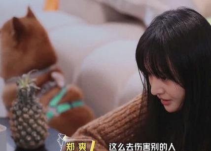 郑爽|郑爽脱口秀暗讽张恒？自称经纪人实则是跑腿，跟了我一段时间，大笔钱就没了