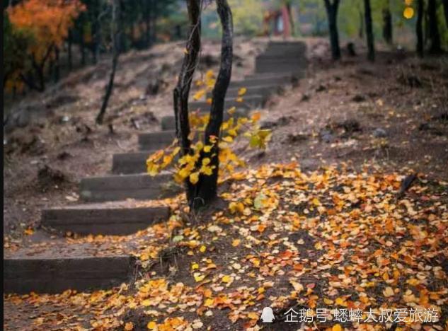 蟒山国家森林公园|北京一景区因石佛而火，数万游客前来游玩，只因其憨态可掬！