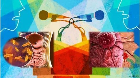 癌症|想不到的身体主宰：肠道菌群失衡可以致癌？