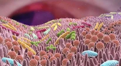癌症|想不到的身体主宰：肠道菌群失衡可以致癌？