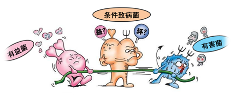 癌症|想不到的身体主宰：肠道菌群失衡可以致癌？