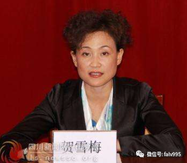 书记夫妻|市委书记|西昌市委|贺雪梅|凉山州金融工作局|李俊|马小宁