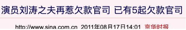 刘涛|刘涛：为夫还债，与蒋欣结怨，“国民贤妻”背后的故事没那么简单