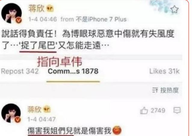 刘涛|刘涛：为夫还债，与蒋欣结怨，“国民贤妻”背后的故事没那么简单